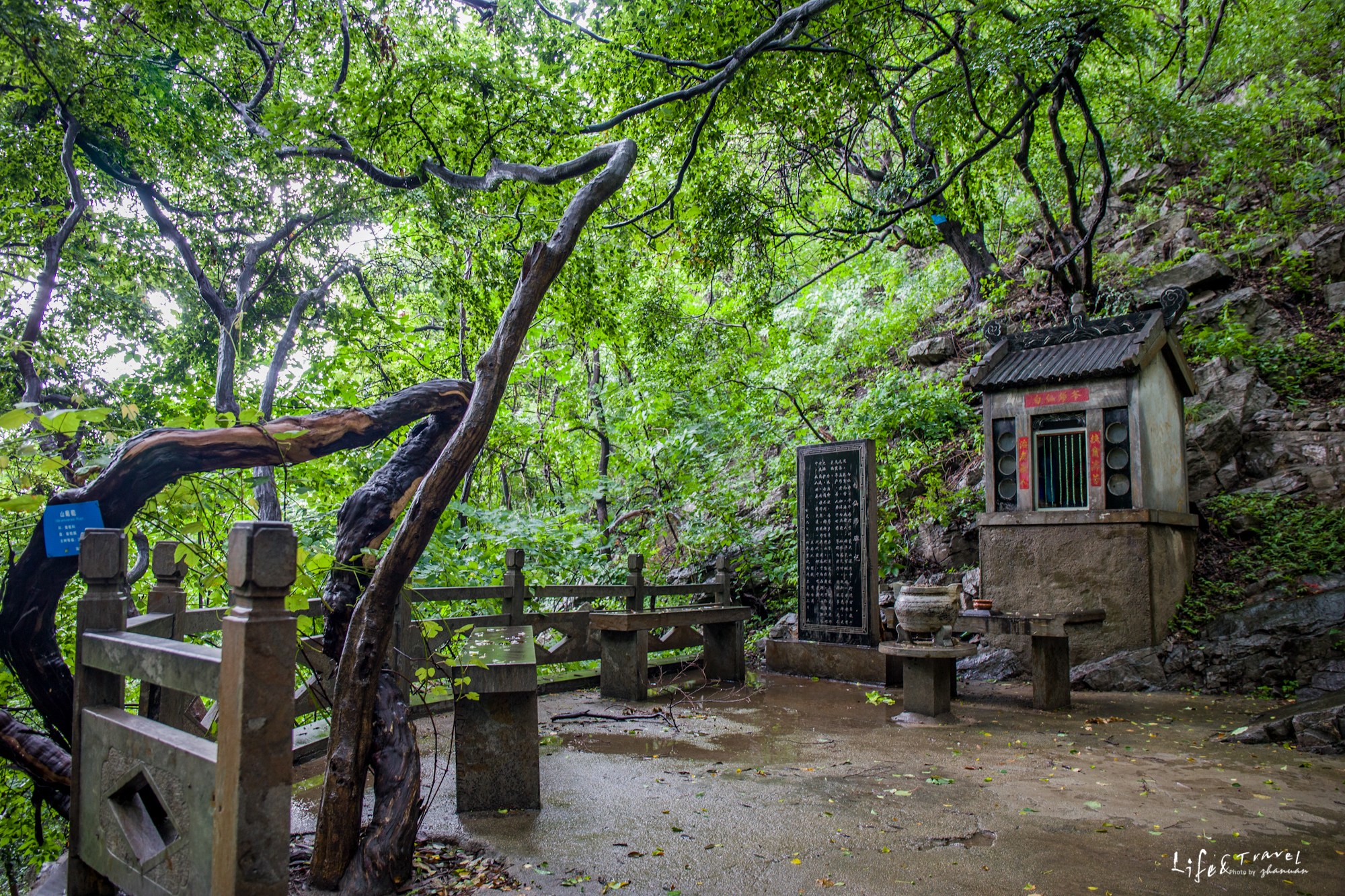 淄博看红叶的免费景点,淄博看红叶不用爬山的免费景区