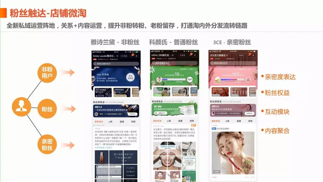 淘宝微淘运营教程,淘宝电商平台转型与升级