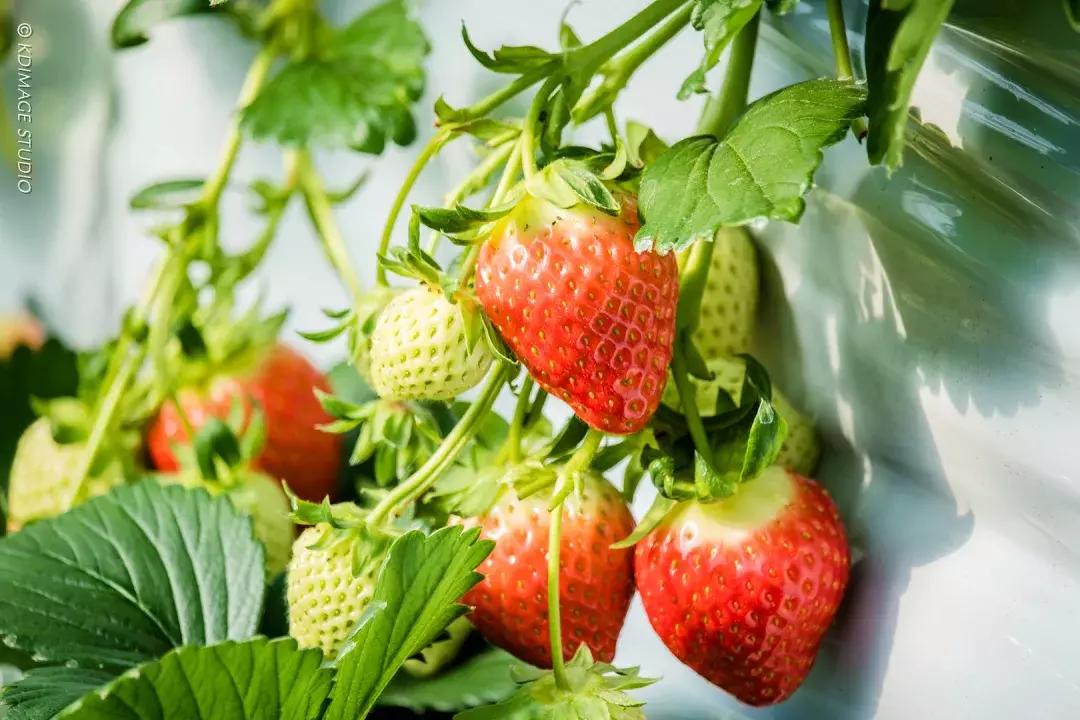 韩剧里都没有的另类玩法！这份韩国旅行攻略你值得拥有哦