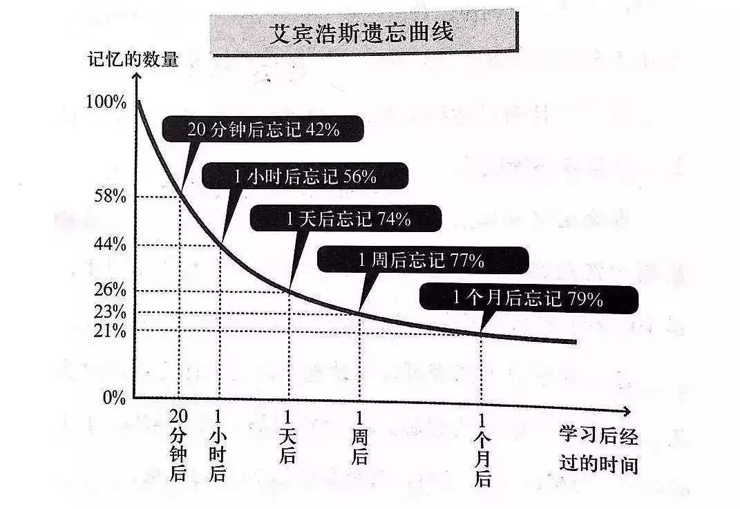 孩子学习一直记不住怎么办,死记硬背可以提高记忆力吗