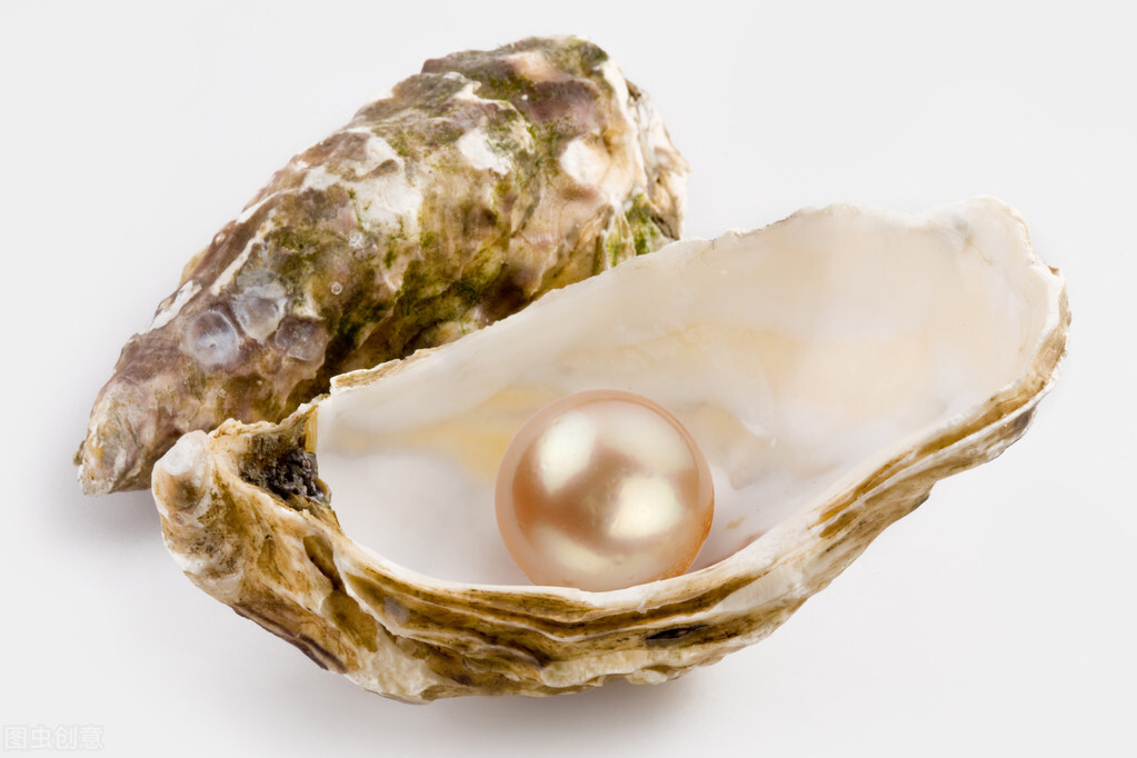 珍珠项链推荐款式,买珍珠项链哪个品牌好2019年