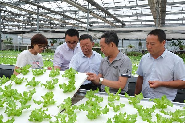 江苏省叶菜产业重大技术协同推广联盟成立