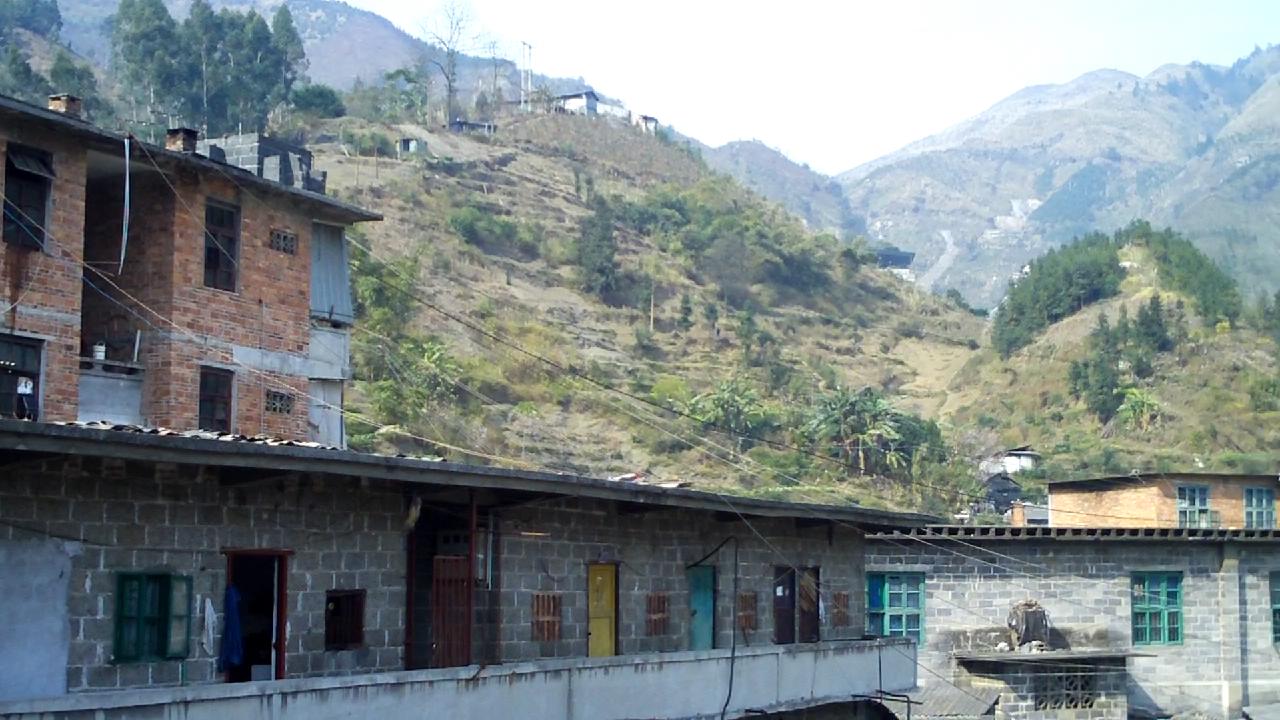 我家里真的有矿免费完结小说,我家里真的有矿