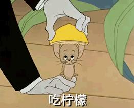 最壕狗窝！主人花3万5为爱宠造了个别墅，泳池和阳光房全都有