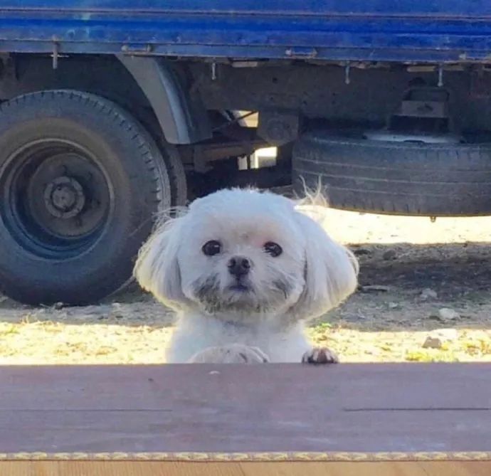 发生交通事故没有垫付费用怎么办,交通救助基金一般垫付限额多少