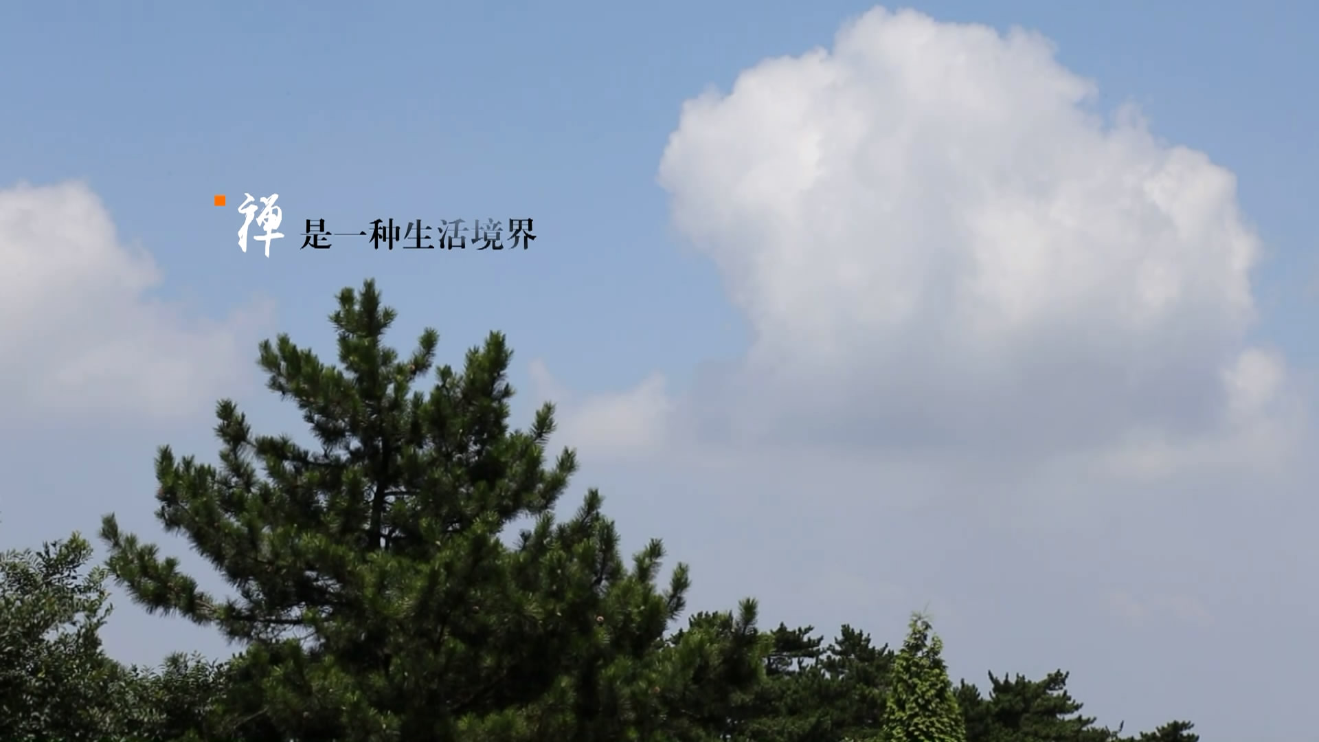 庐山禅修视频,庐山佛教发展史