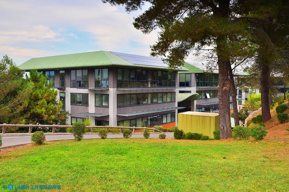 华高莱斯特点,华高莱斯是做什么的