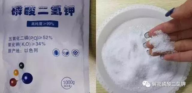 叶面肥磷酸二氢钾如何使用 (叶面肥磷酸二氢钾使用方法用量)