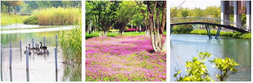 江苏周庄宾馆,周庄旅游主题酒店