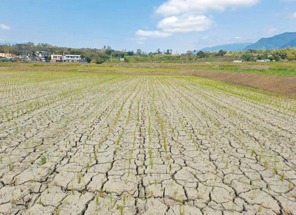 台湾几十年来最严重的旱灾,台湾遭遇严重旱灾