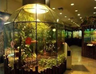 上海旅游攻略必去的15个景点,上海旅游攻略必逛的15个景点