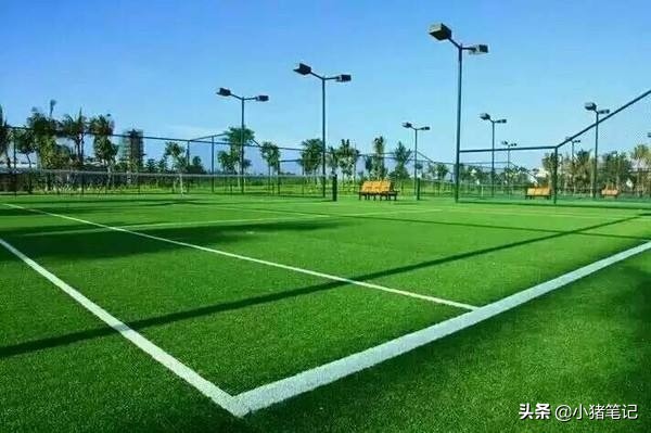 足球场的草坪标准尺寸,足球场每块草坪是多少尺寸