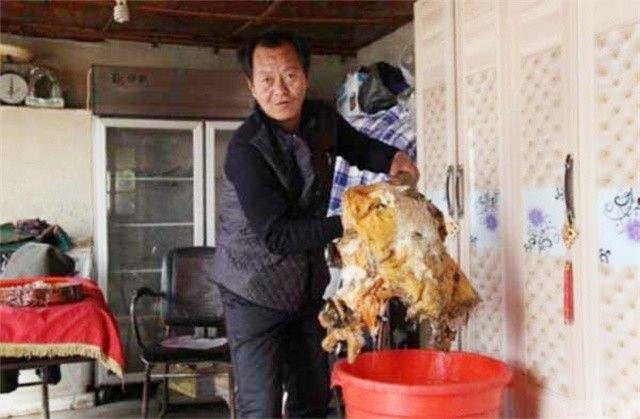 6年前捡到太岁,捡到太岁农民现在过得怎么样了