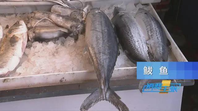 三亚海鲜市场皮皮虾多少钱一斤,海鲜市场上的皮皮虾