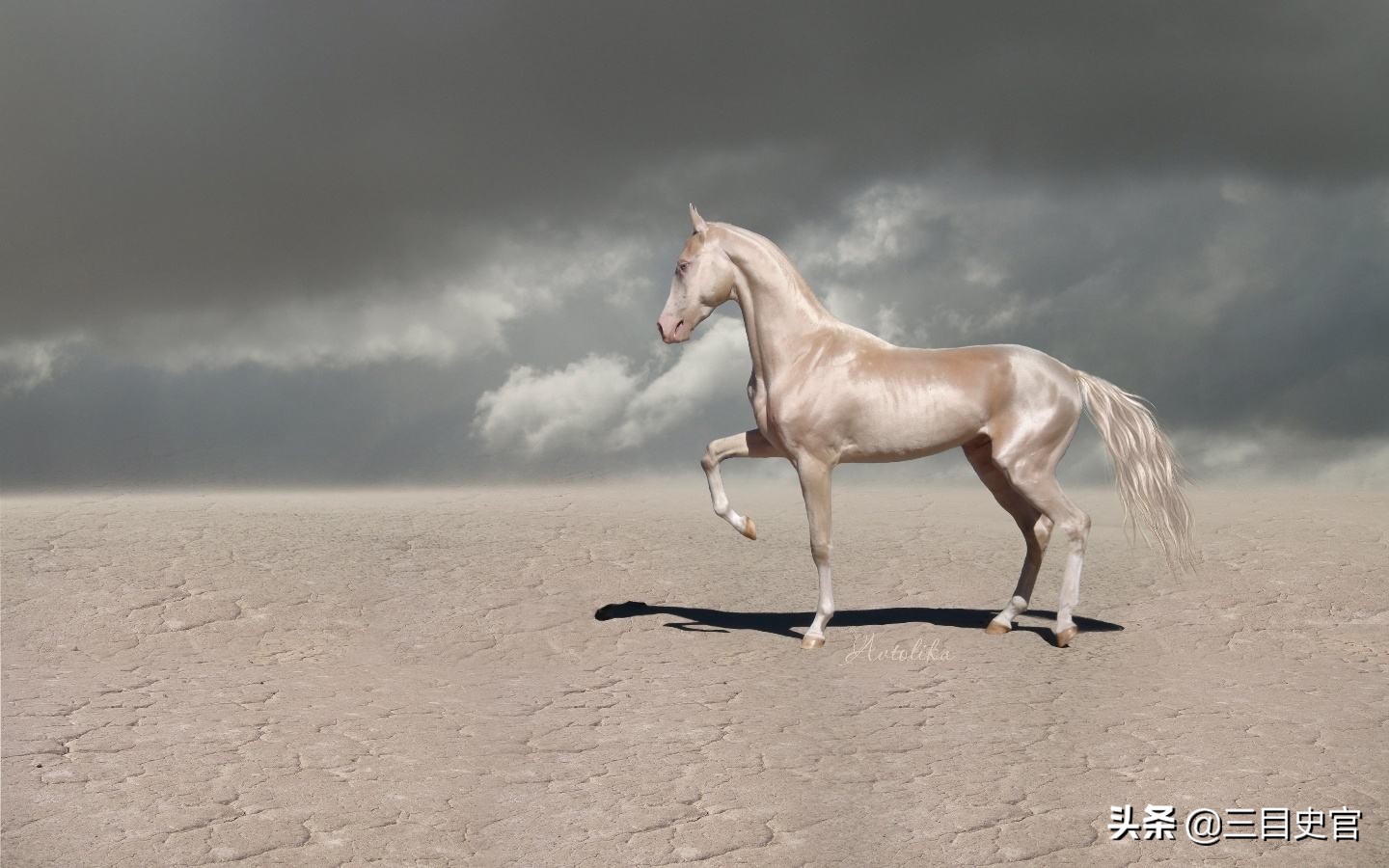 中国汗血宝马起源,我国现在还有纯正的汗血宝马吗