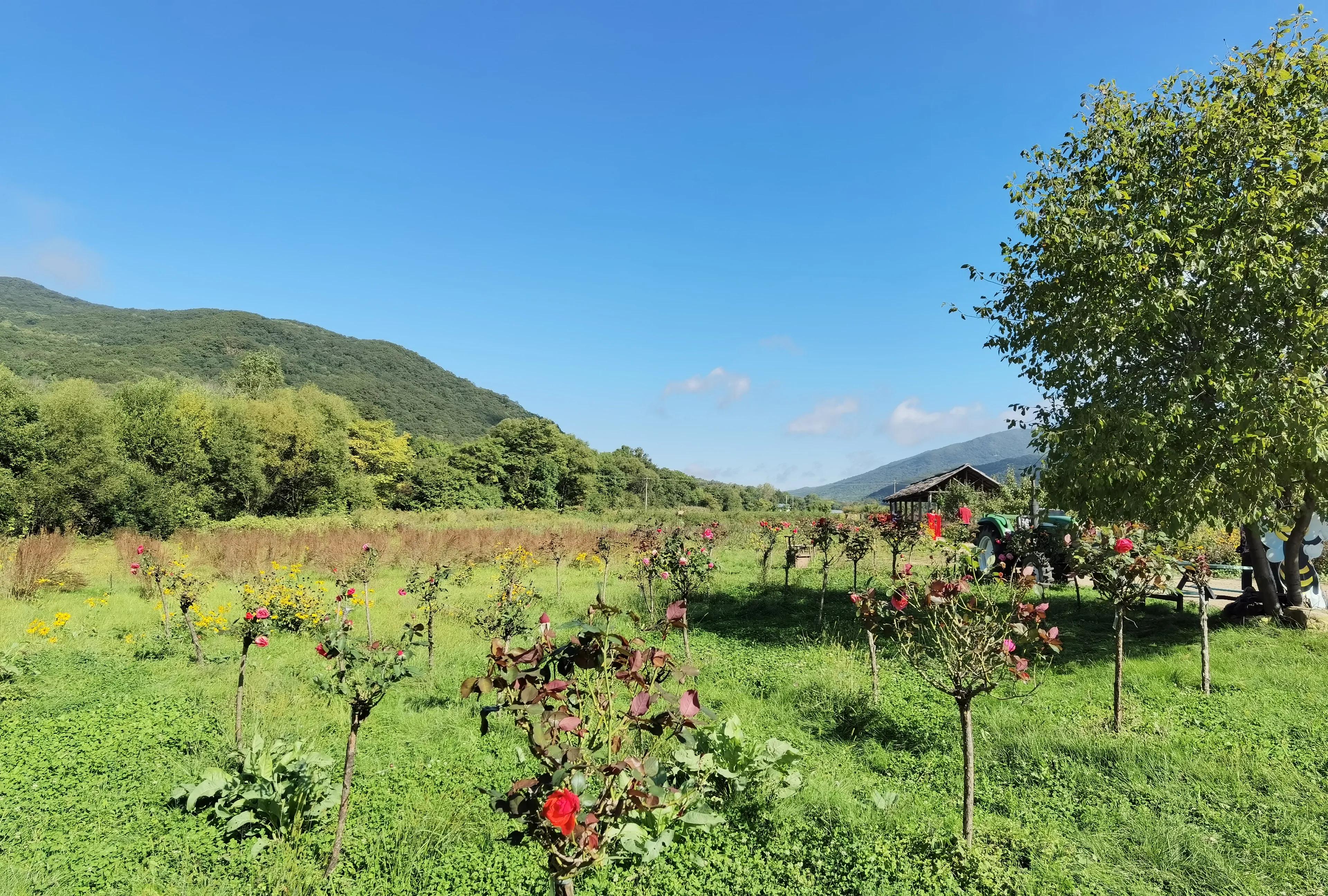古朗月行李白的诗意是什么,李白的古朗月行在哪儿写的
