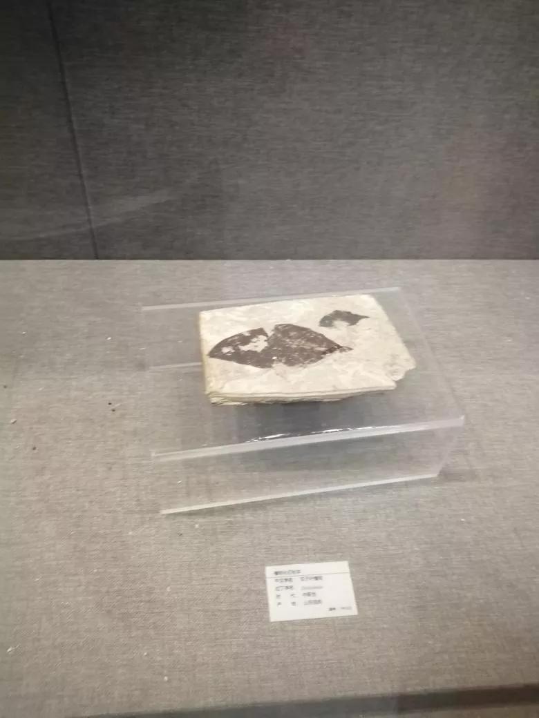 去天津蓟州旅游攻略,跟着书本去旅行蓟州