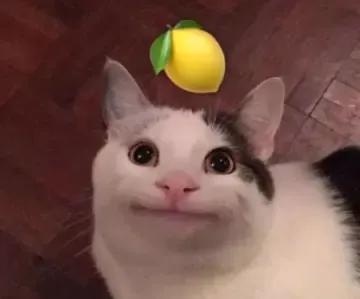 南韩“纯欲天花板”!16岁の新晋腿精!这个妹妹绝了