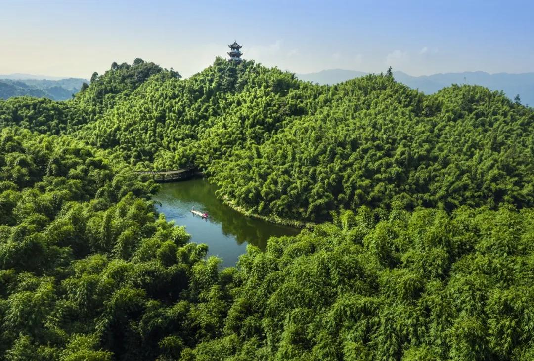游沐川竹海,沐川周末游