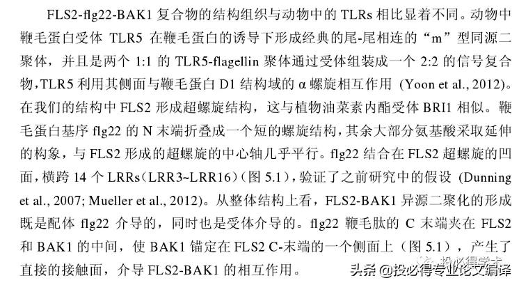 一文解决中英参考文献混排问题,一文搞定英语写作技巧