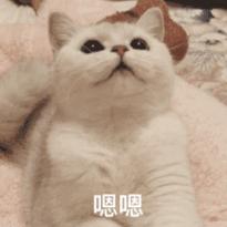 港股打新入金攻略,港股打新的三大技巧