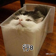 沙雕手办日本小哥,日本沙雕手办小哥