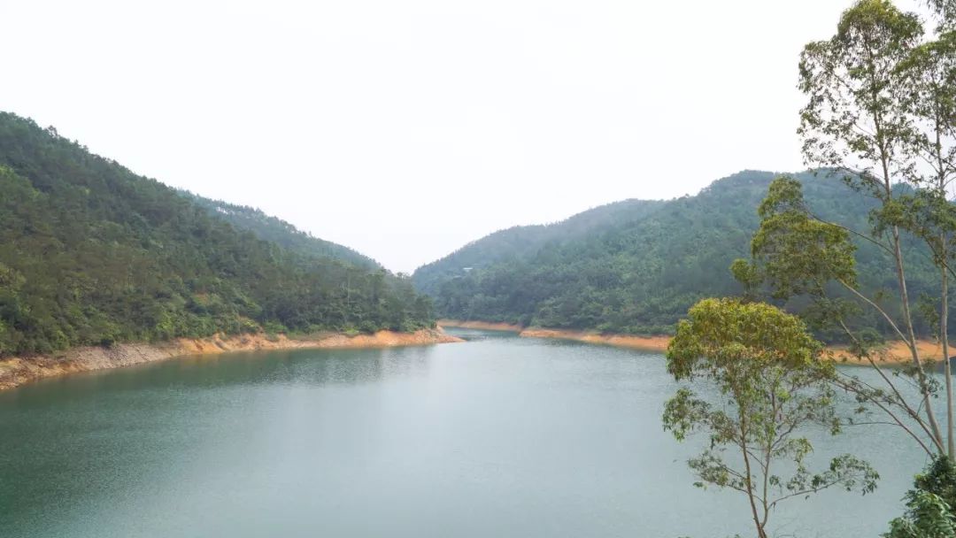 罗定一年四季的风景,罗定大山风景