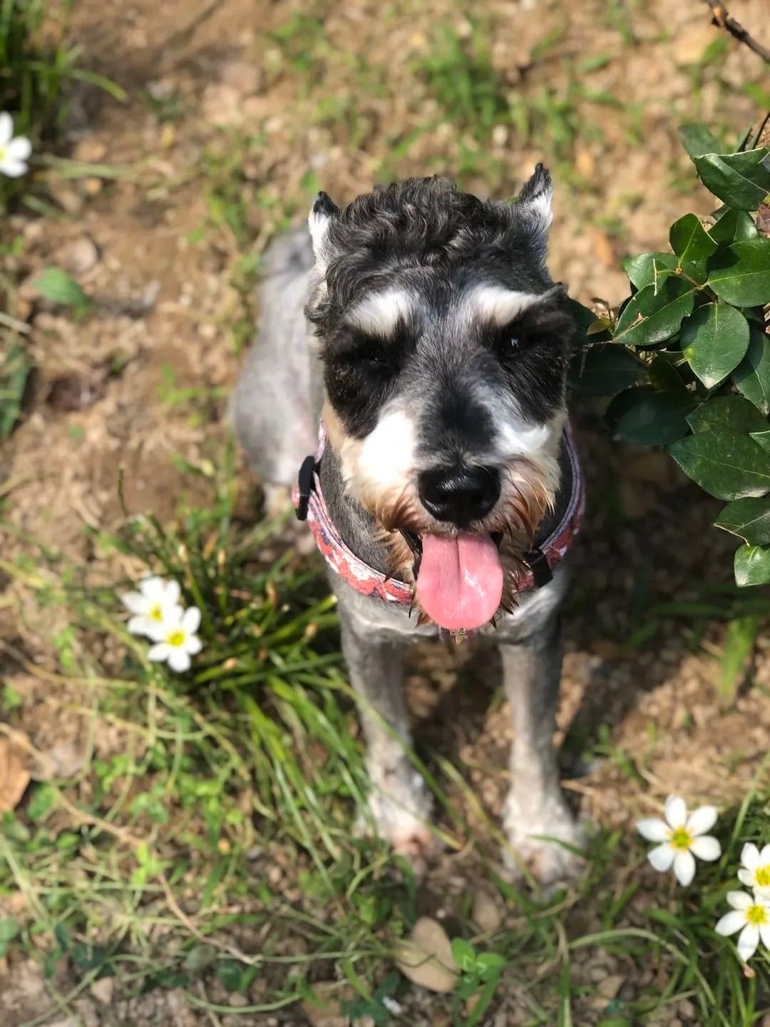 战友的故事分集剧情,战友故事连续剧