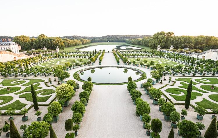 法国菜的起源和发展历程,全面了解法国菜