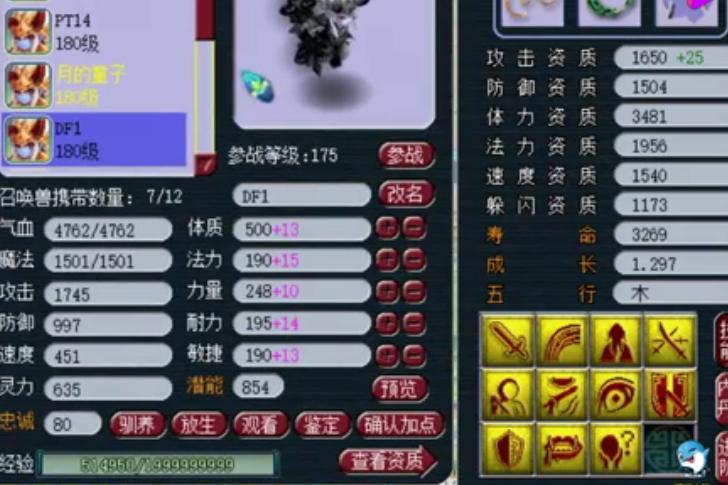 梦幻西游：渔岛阵容继续扩大，老板一口气同时买下4只服战宠