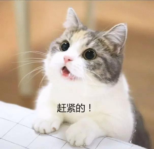 粤语aabc四字成语,粤语里面aa和a有什么区别