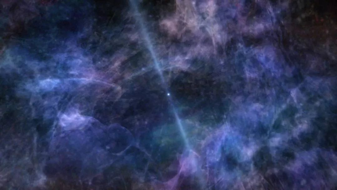 暑期必看的炸裂口碑纪录片,暑期不虚度七部神级纪录片陪你