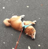 宫寒体寒痛经妹子的福音,女生痛经严重中医推荐