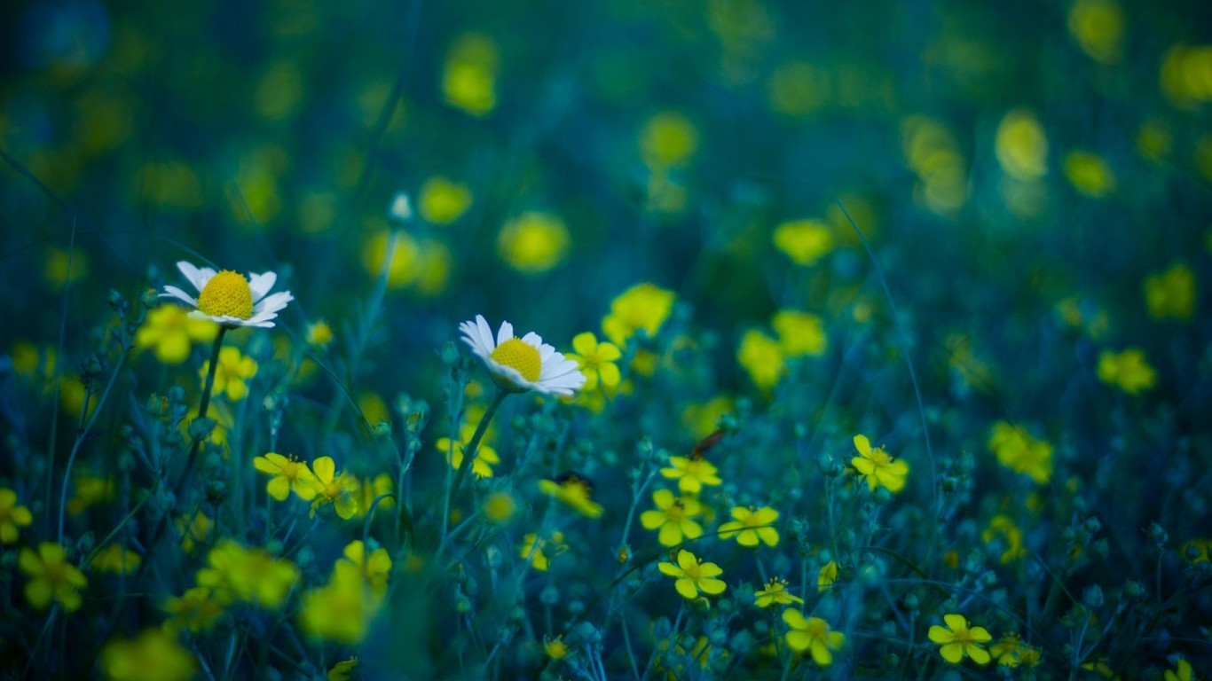 用心理学来解梦20