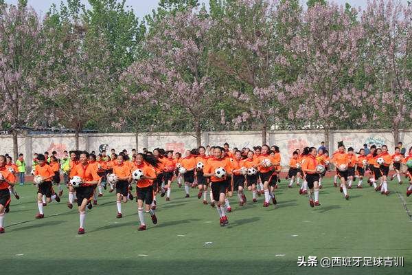 中国足球伪职业化的三个观点,中国足球的看法和建议手写