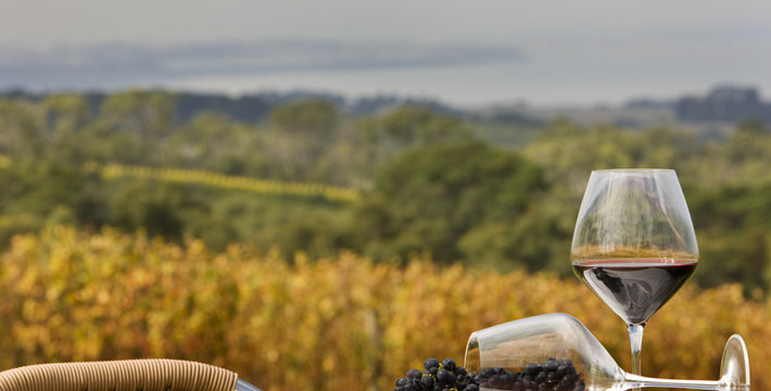 澳洲酒庄在哪里,澳洲酒庄有什么好玩