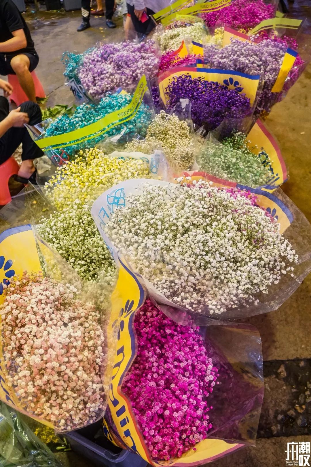 广州最大的花卉市场有哪些店,广州最便宜的花卉交易市场