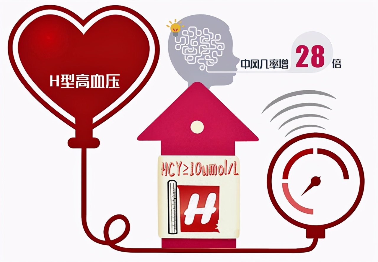 高血压的老年人补充哪种叶酸片好,高血压补充叶酸用哪种叶酸好