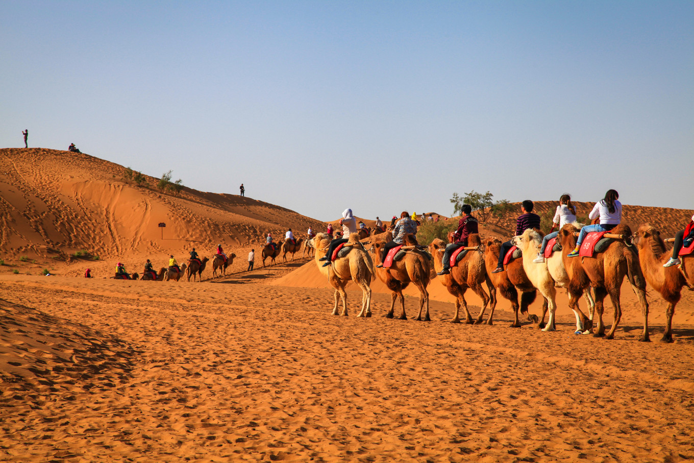 宁夏沙漠旅游住哪里好,宁夏中卫民宿价格表