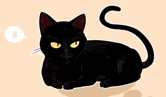 猫中的小仙女有哪些,猫中小仙女是什么