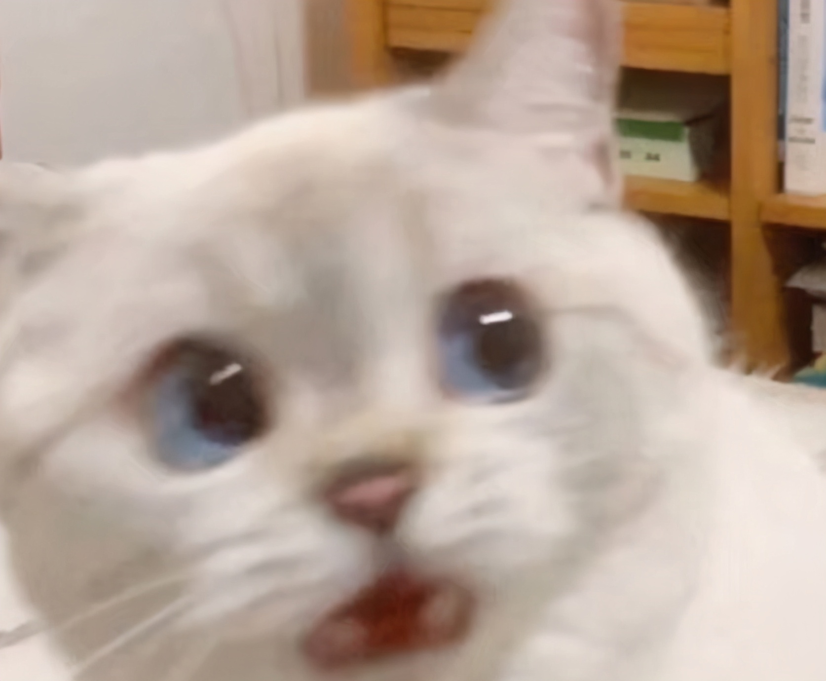 闻屁、吃狗粮竟年入几十万？盘点那些匪夷所思的“多金”职业