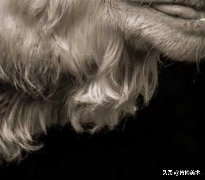 动物毛发素描,素描如何表现动物毛发