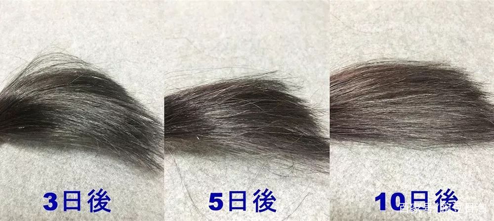 豌豆公主100%正品,豌豆公主日本正品