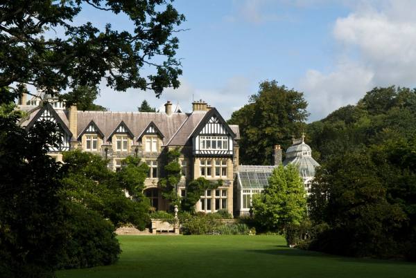 荚蒾博德兰,博德兰荚蒾对光照的需求