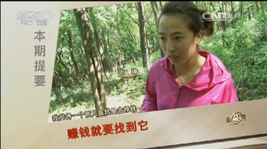 野山参文化传承,野山参历史文化