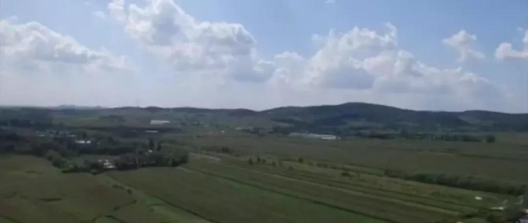 新规发布这些药品不得在网上销售,未上市的药品新规