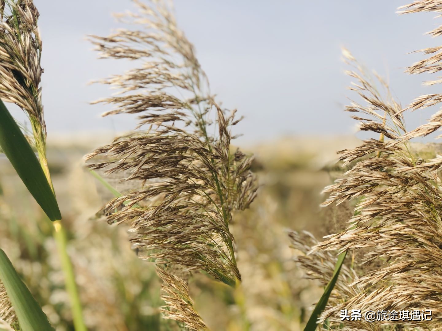 从阿拉尔到塔克拉玛干,从库尔勒去和田的最佳沙漠公路