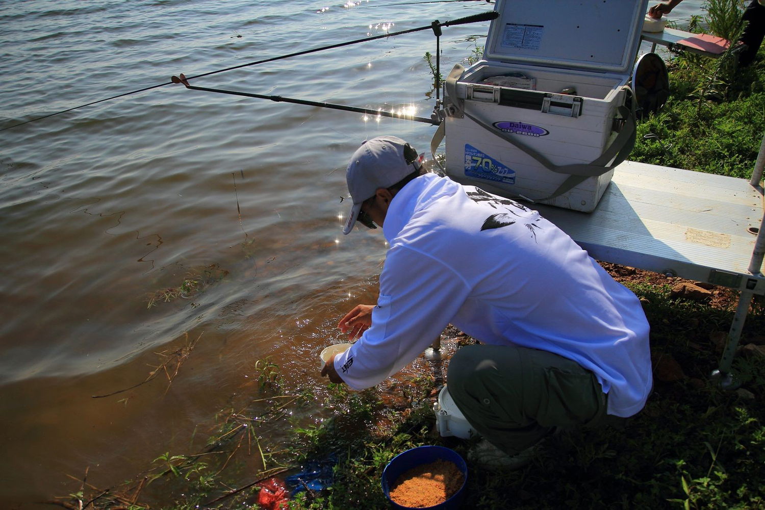 什么维生素钓鱼效果最好,什么氨基酸钓鱼最好