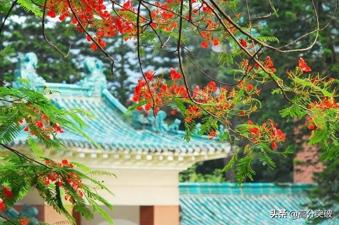 开学复课进行时,开学季告别暑假回归校园