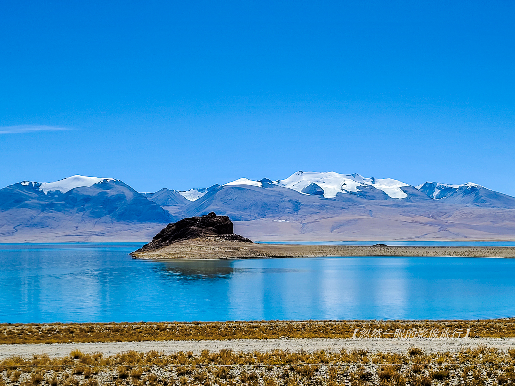 阿里无人区野狼出没,阿里无人区狐狸